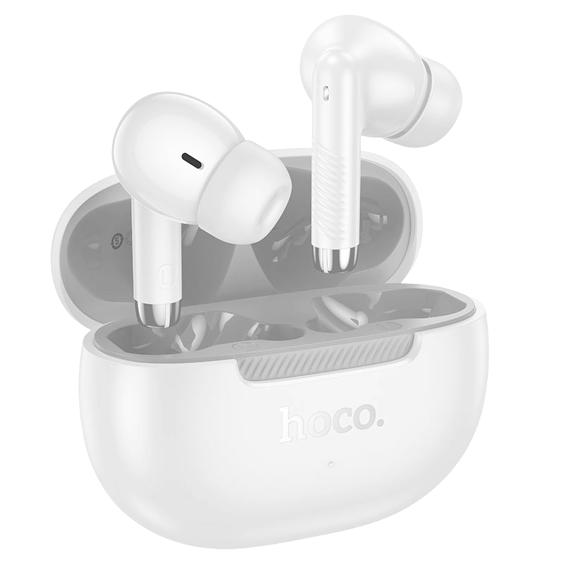 HOCO Wireless Earbuds with Charging Case